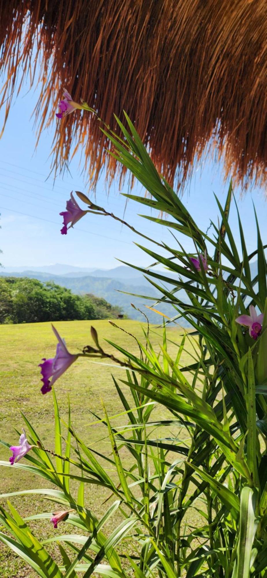Villeta Casa De Campo Caracoli Spa Eksteriør bilde